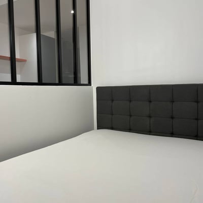 Rent of a cozy and modern studio, 27 m², 15th arrondissement, Paris, France